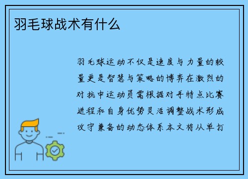 羽毛球战术有什么