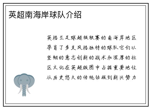 英超南海岸球队介绍